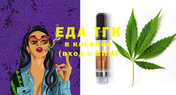 тгк Абаза