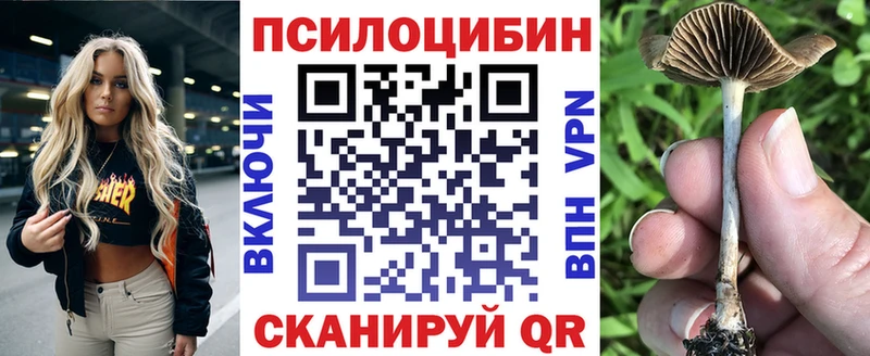 Псилоцибиновые грибы GOLDEN TEACHER  где можно купить   Александровск-Сахалинский 