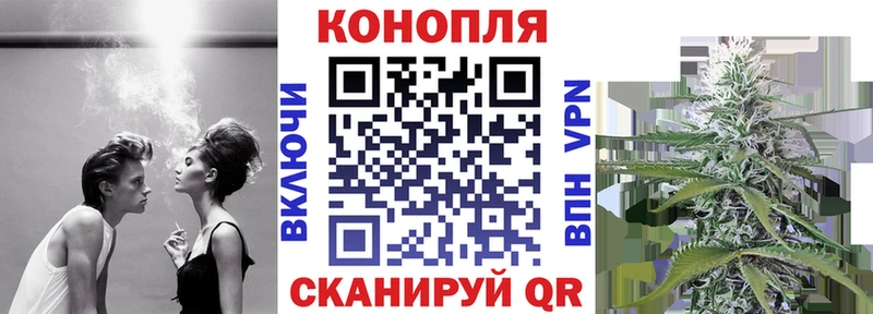 Канабис гибрид Александровск-Сахалинский